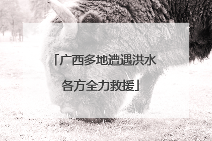 广西多地遭遇洪水 各方全力救援