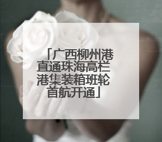 广西柳州港直通珠海高栏港集装箱班轮首航开通