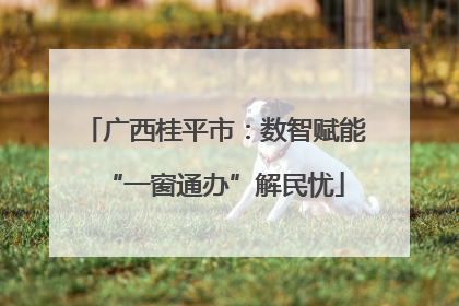 广西桂平市：数智赋能“一窗通办”解民忧