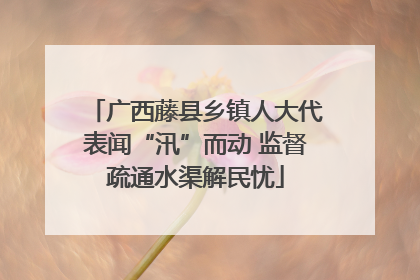 广西藤县乡镇人大代表闻“汛”而动 监督疏通水渠解民忧