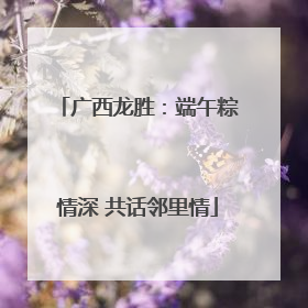 广西龙胜：端午粽情深 共话邻里情