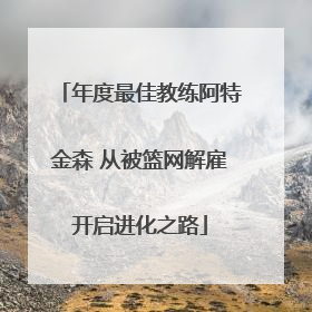 年度最佳教练阿特金森 从被篮网解雇开启进化之路