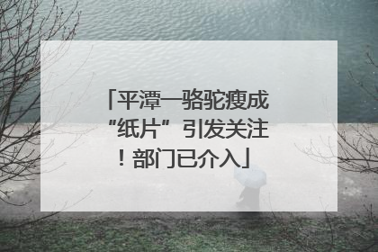 平潭一骆驼瘦成“纸片”引发关注！部门已介入
