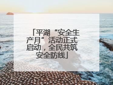 平湖“安全生产月”活动正式启动，全民共筑安全防线