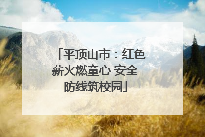 平顶山市：红色薪火燃童心 安全防线筑校园