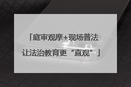 庭审观摩+现场普法 让法治教育更“直观”