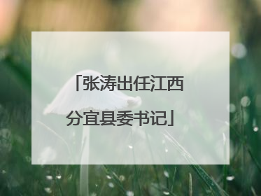 张涛出任江西分宜县委书记