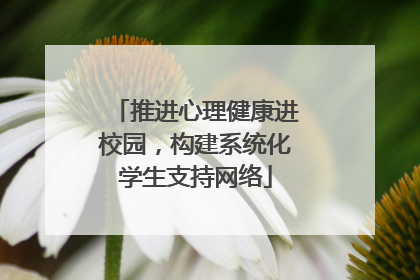 推进心理健康进校园，构建系统化学生支持网络