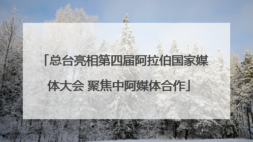 总台亮相第四届阿拉伯国家媒体大会 聚焦中阿媒体合作