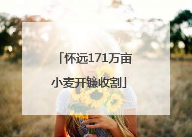 怀远171万亩小麦开镰收割