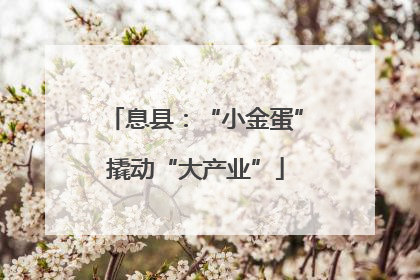 息县：“小金蛋”撬动“大产业”