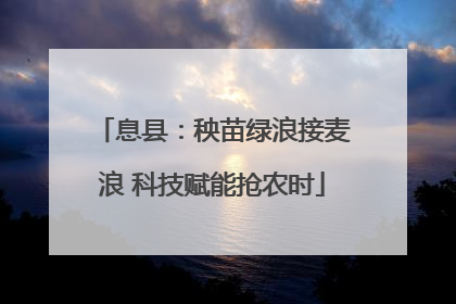 息县：秧苗绿浪接麦浪 科技赋能抢农时