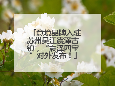 意境品牌入驻苏州吴江震泽古镇，“震泽四宝”对外发布！