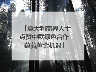 意大利商界人士点赞中欧绿色合作蕴藏黄金机遇