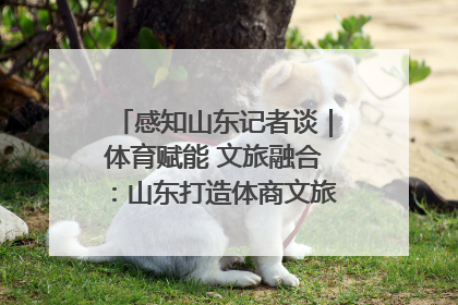 感知山东记者谈｜体育赋能 文旅融合：山东打造体商文旅融合发展新格局
