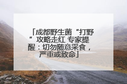成都野生菌“打野”攻略走红 专家提醒：切勿随意采食，严重或致命