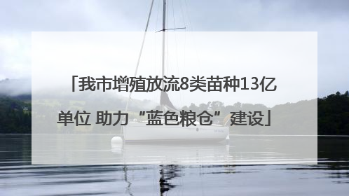 我市增殖放流8类苗种13亿单位 助力“蓝色粮仓”建设