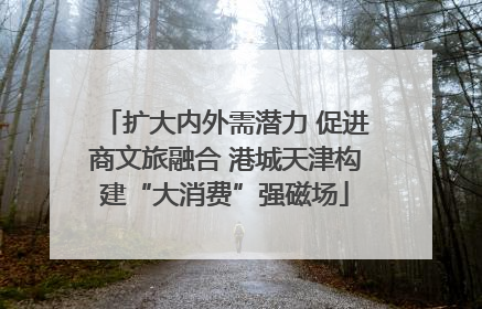 扩大内外需潜力 促进商文旅融合 港城天津构建“大消费”强磁场