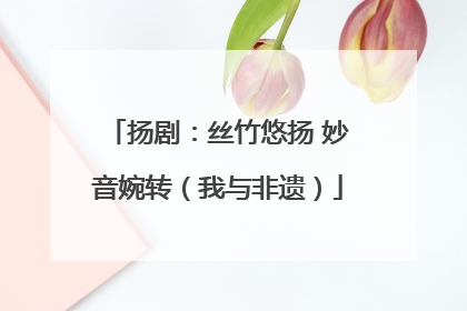 扬剧：丝竹悠扬 妙音婉转（我与非遗）
