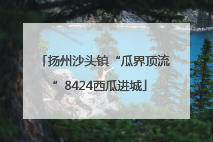 扬州沙头镇“瓜界顶流”8424西瓜进城