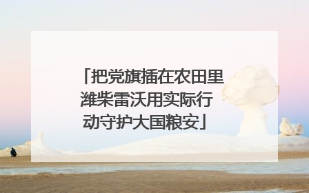 把党旗插在农田里 潍柴雷沃用实际行动守护大国粮安