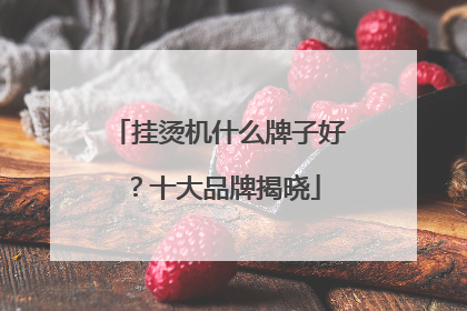 挂烫机什么牌子好？十大品牌揭晓