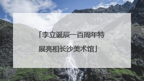 李立诞辰一百周年特展亮相长沙美术馆
