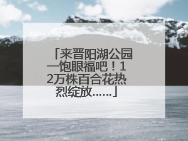 来晋阳湖公园一饱眼福吧！12万株百合花热烈绽放……