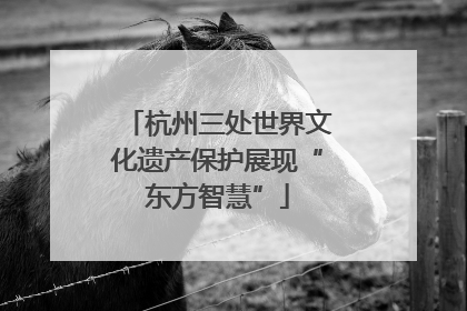 杭州三处世界文化遗产保护展现“东方智慧”