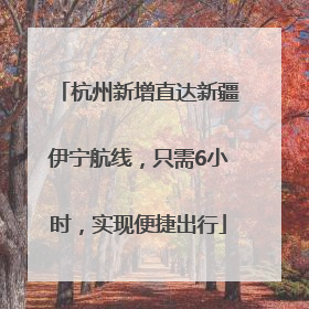杭州新增直达新疆伊宁航线，只需6小时，实现便捷出行