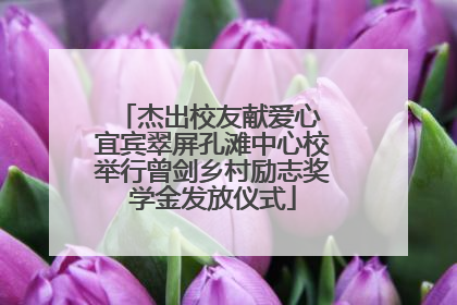 杰出校友献爱心 宜宾翠屏孔滩中心校举行曾剑乡村励志奖学金发放仪式