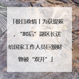 极目政情丨为获提拔，“80后”副区长送给国家工作人员巨额财物被“双开”
