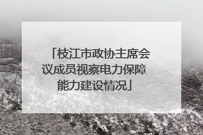 枝江市政协主席会议成员视察电力保障能力建设情况