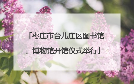 枣庄市台儿庄区图书馆、博物馆开馆仪式举行