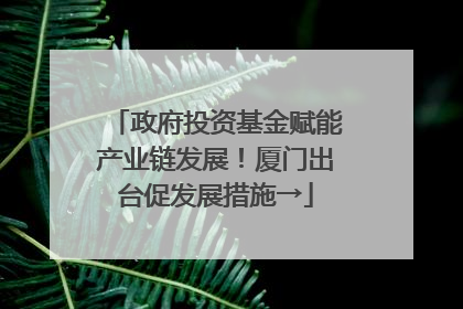 政府投资基金赋能产业链发展！厦门出台促发展措施→