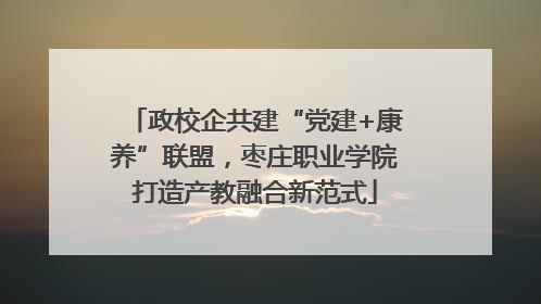 政校企共建“党建+康养”联盟，枣庄职业学院打造产教融合新范式