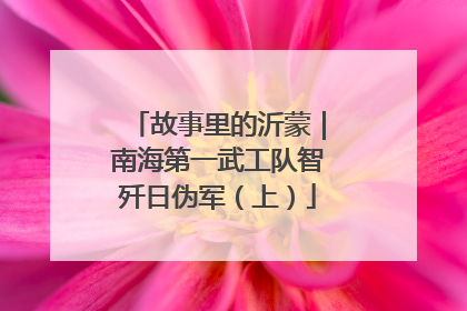 故事里的沂蒙｜南海第一武工队智歼日伪军（上）
