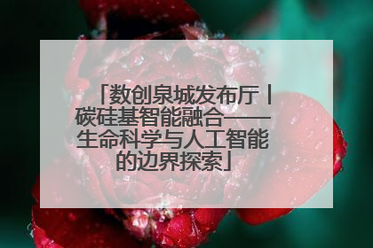 数创泉城发布厅丨碳硅基智能融合——生命科学与人工智能的边界探索