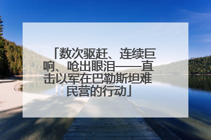 数次驱赶、连续巨响、呛出眼泪——直击以军在巴勒斯坦难民营的行动