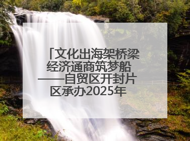文化出海架桥梁 经济通商筑梦船——自贸区开封片区承办2025年匈牙利文旅交流对接活动专场