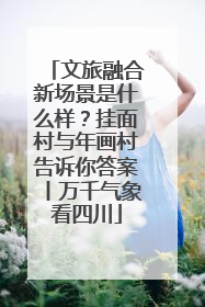 文旅融合新场景是什么样？挂面村与年画村告诉你答案丨万千气象看四川