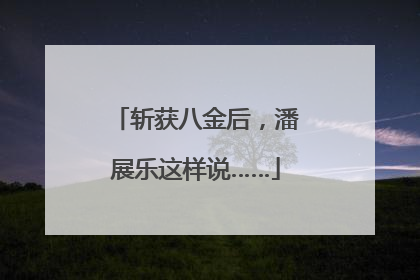 斩获八金后，潘展乐这样说……