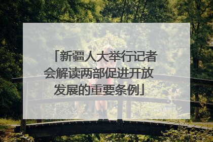 新疆人大举行记者会解读两部促进开放发展的重要条例