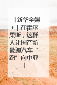 新华全媒+｜在霍尔果斯，这群人让国产新能源汽车“跑”向中亚