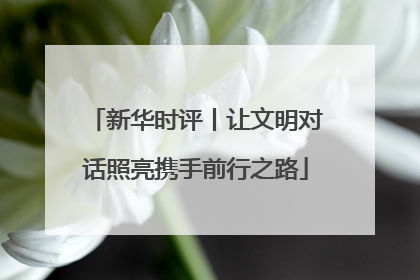 新华时评丨让文明对话照亮携手前行之路