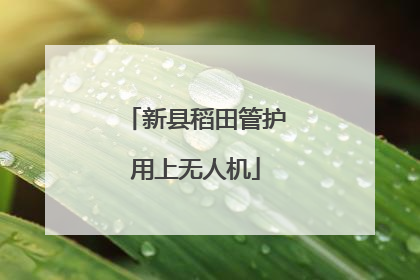 新县稻田管护用上无人机