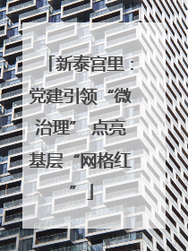 新泰宫里：党建引领“微治理” 点亮基层“网格红”