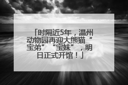 时隔近5年，温州动物园再迎大熊猫“宝弟”“宝妹”，明日正式开馆！