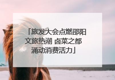 旅发大会点燃邵阳文旅热潮 卤菜之都涌动消费活力