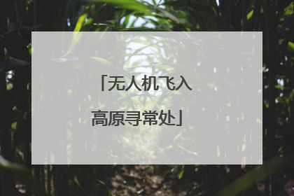 无人机飞入高原寻常处